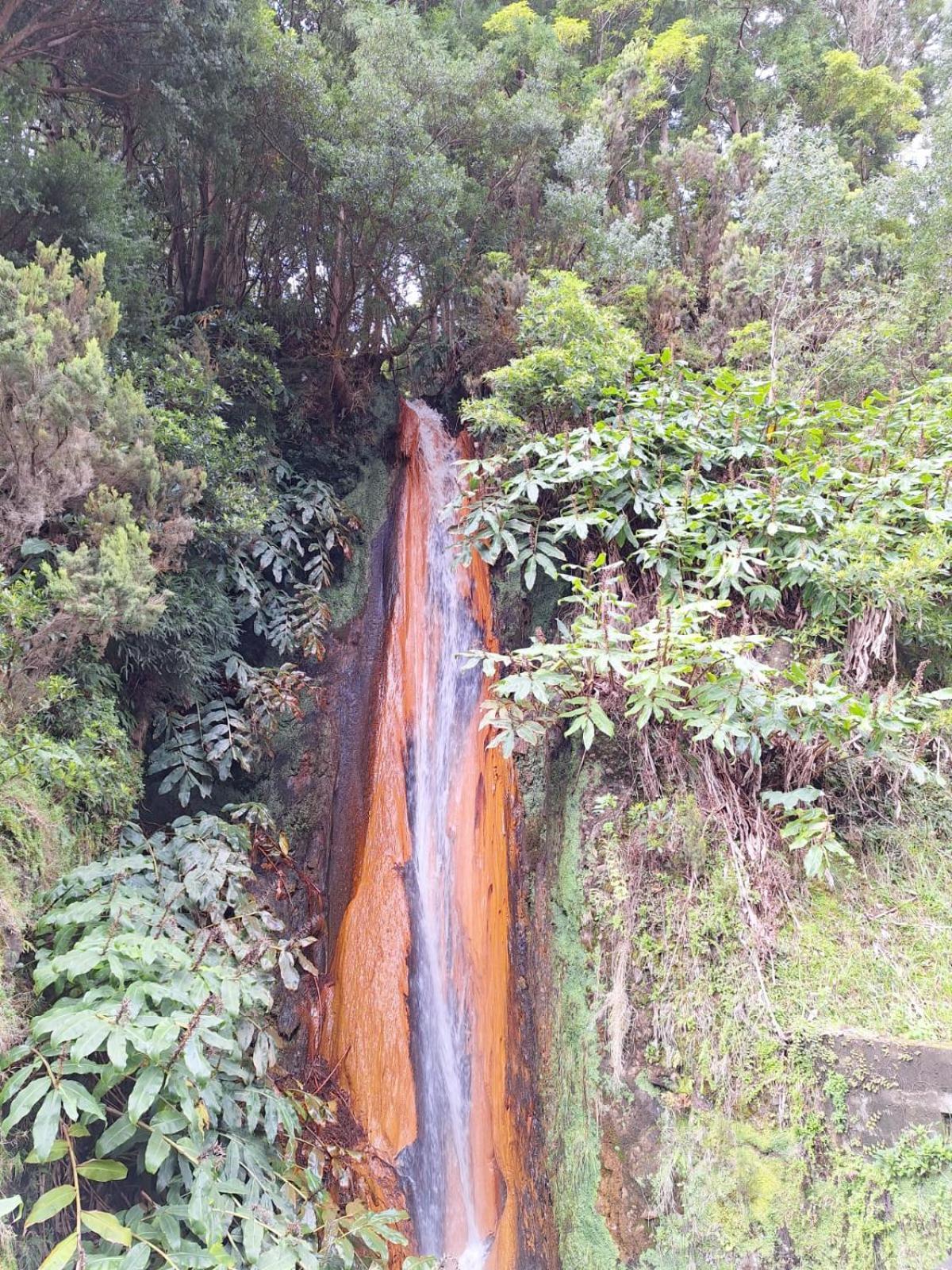 A Caminho Da Ilha Lejlighed Ponta Delgada Eksteriør billede